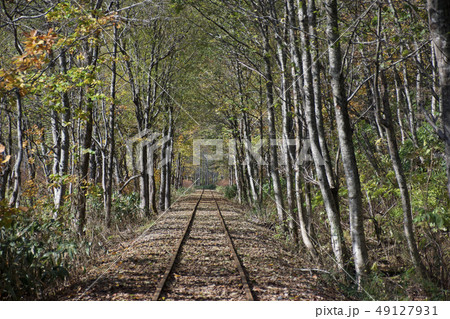 北海道トロッコ王国［よこ］ 49127931