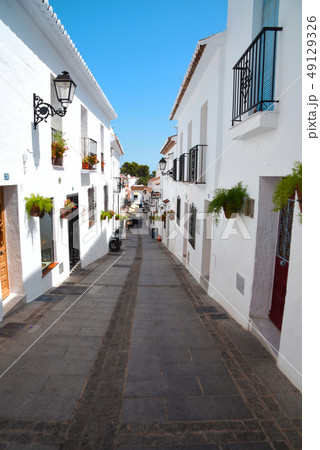 ミハス　 49129326