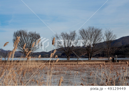 川 が 湖 49129449