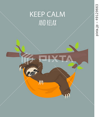 The story of one sloth. Traveling, holiday. Funny 49129663