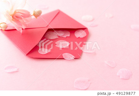 春の便り　春　桜の花びら　開花 49129877