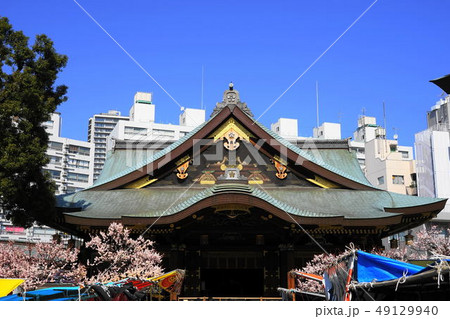 3月　湯島天満宮20梅まつり 49129940