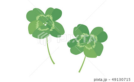 四つ葉のクローバー 49130715