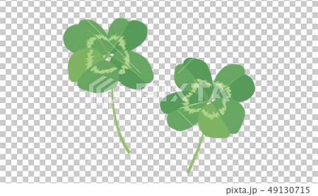四つ葉のクローバー 49130715