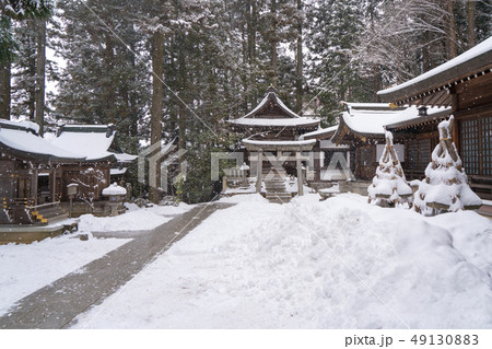 landscape of Sanzen-in Temple Japanese garden 49130883