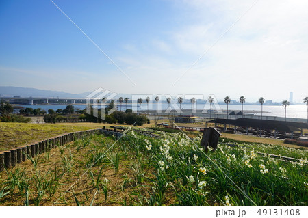 二色浜海浜緑地 大阪府 二色浜海浜緑地 大阪府 49131408
