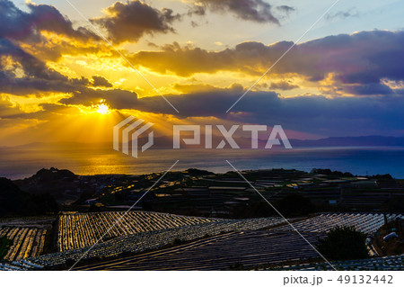 南串山棚畑展望台からの夕陽 【長崎県雲仙市】 南串山棚畑展望台からの夕陽 【長崎県雲仙市】 49132442