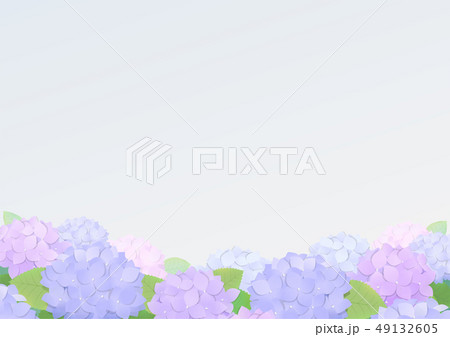 アジサイ 背景素材のイラスト素材