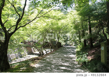 伊万里(大川内山) 伊万里(大川内山) 49132664