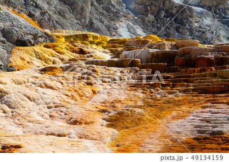 Mammoth Hot Springs Terraces, Wyoming, USA 49134159