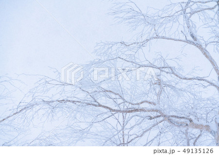 《北海道》霧氷・厳冬の北海道 《北海道》霧氷・厳冬の北海道 49135126