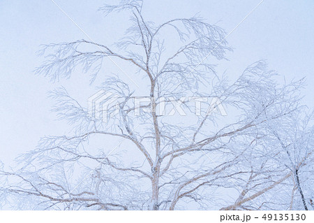 《北海道》霧氷・厳冬の北海道 49135130