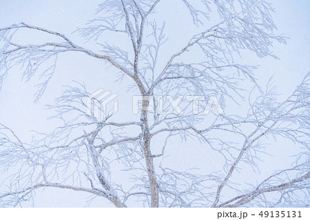 《北海道》霧氷・厳冬の北海道 《北海道》霧氷・厳冬の北海道 49135131