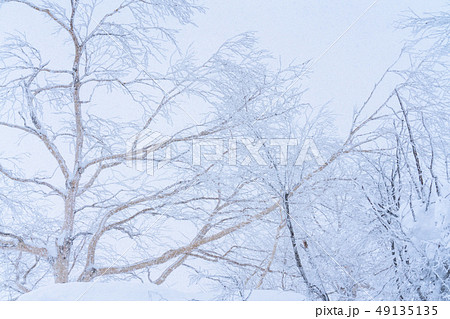 《北海道》霧氷・厳冬の北海道 《北海道》霧氷・厳冬の北海道 49135135