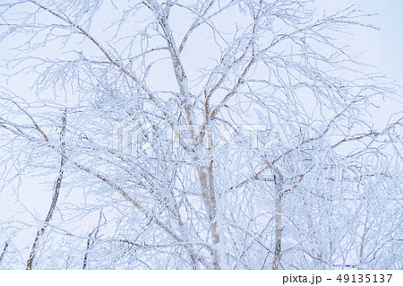 《北海道》霧氷・厳冬の北海道 49135137