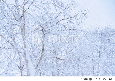 《北海道》霧氷・厳冬の北海道 《北海道》霧氷・厳冬の北海道 49135138