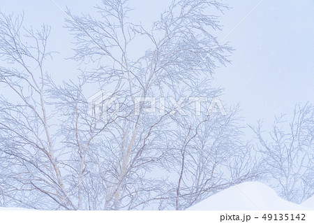 《北海道》霧氷・厳冬の北海道 《北海道》霧氷・厳冬の北海道 49135142