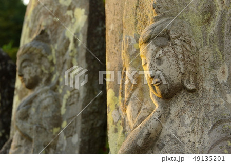 如意輪観音 如意輪観音 49135201