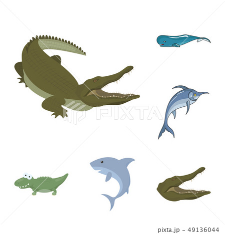 Isolated object of water and drop icon. Collection of water and splash stock symbol for web. 49136044