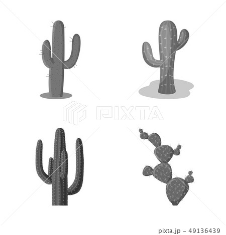 Vector illustration of flower and summer sign. Collection of flower and garden stock vector Vector illustration of flower and summer sign. Collection of flower and garden stock vector 49136439