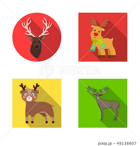 Isolated object of elk and head sign. Set of elk and stag stock vector illustration. 49136607