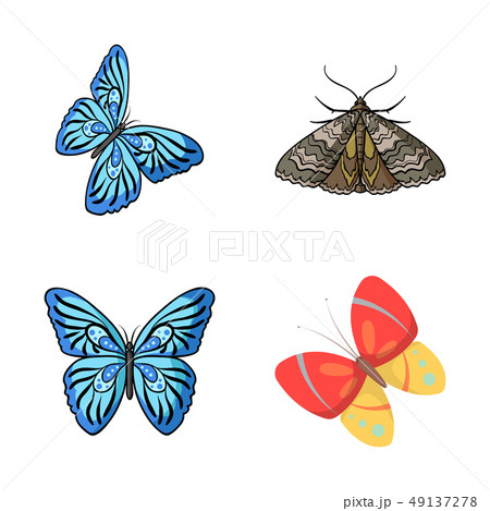 Vector design of color and spring icon. Set of color and fly vector icon for stock. Vector design of color and spring icon. Set of color and fly vector icon for stock. 49137278