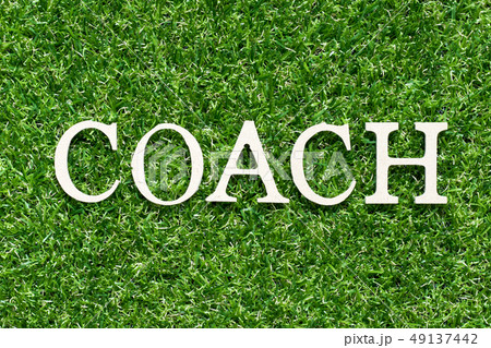 Wood alphabet letter in word coach Wood alphabet letter in word coach 49137442