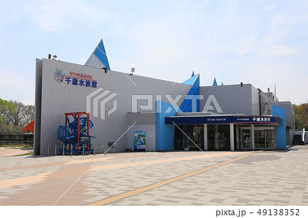 千歳水族館 49138352