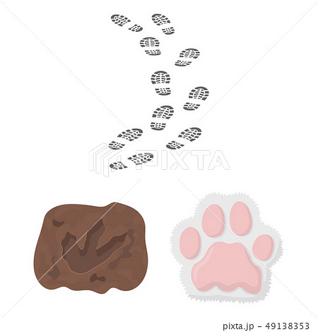 Isolated object of track and footstep icon. Collection of track and silhouette vector icon for stock Isolated object of track and footstep icon. Collection of track and silhouette vector icon for stock 49138353