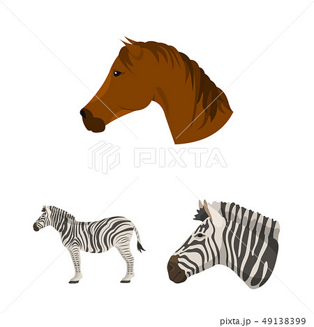 Isolated object of trot and running logo. Set of trot and clipart stock vector illustration. Isolated object of trot and running logo. Set of trot and clipart stock vector illustration. 49138399