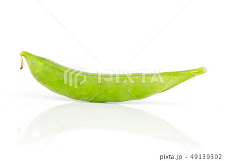 Green sugar snap pea isolated on white Green sugar snap pea isolated on white 49139302