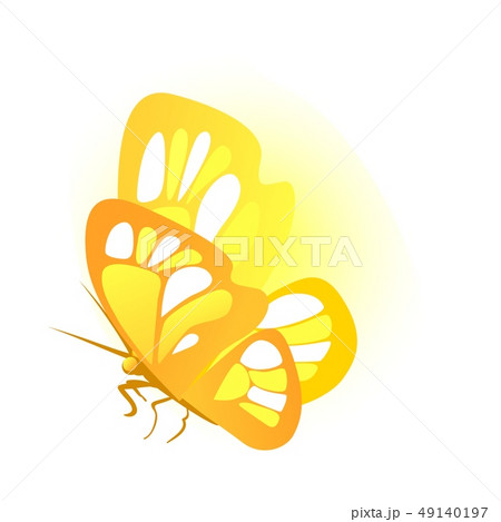Butterfly with golden wings isolated on white background. Vector cartoon close-up illustration. Butterfly with golden wings isolated on white background. Vector cartoon close-up illustration. 49140197