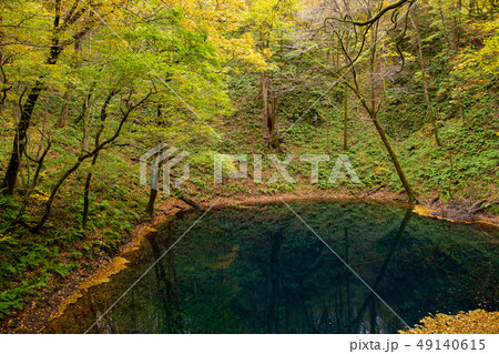 世界遺産白神山地の秋 紅葉の十二湖 青池の写真素材