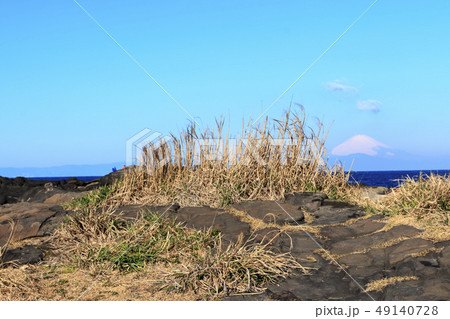 城ヶ島 城ヶ島 49140728