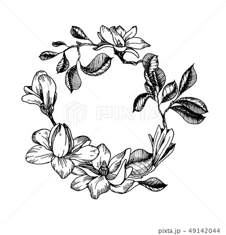 Wreath in engraving style Wreath in engraving style 49142044
