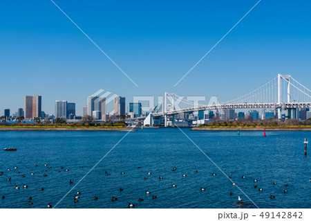 レインボーブリッジ　お台場から 49142842