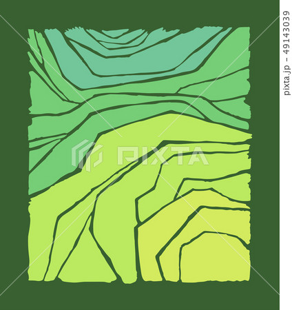 Vector rice or tea plantation on cascades field 49143039