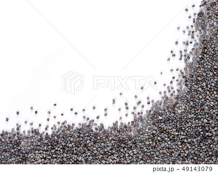 poppy seeds isolated poppy seeds isolated 49143079