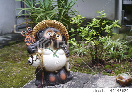 狸の置き物 49143620