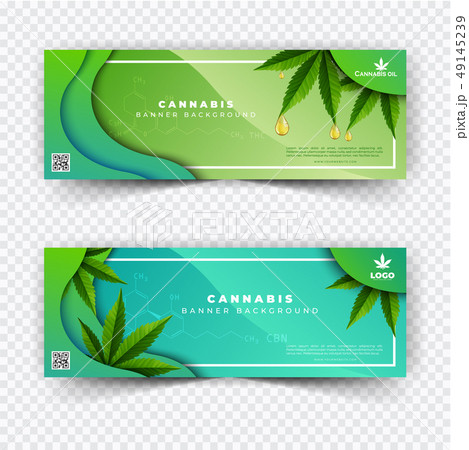 Banner plant and cannabis oil drop, bottle vector. Banner plant and cannabis oil drop, bottle vector. 49145239