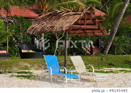 トロピカルビーチ 49145485