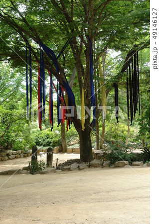 韓国 京畿道 キョンギド 49146127