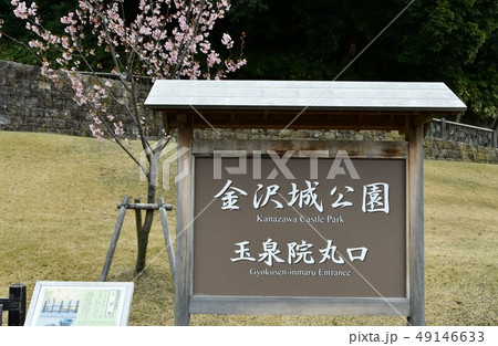 金沢城公園 金沢城 玉泉院丸庭園 金沢城公園 金沢城 玉泉院丸庭園 49146633