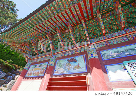 色鮮やかな海東龍宮寺本堂 49147426
