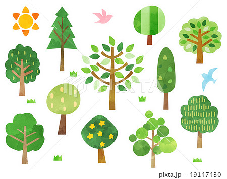 水彩風イラスト　木 49147430