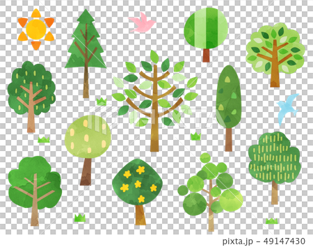 水彩風イラスト　木 49147430