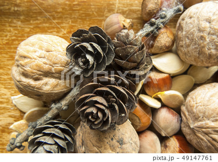Beautiful photo with seeds and nutson Beautiful photo with seeds and nutson 49147761