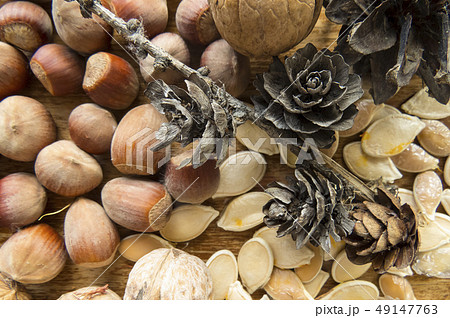 Beautiful photo with seeds and nutson Beautiful photo with seeds and nutson 49147763