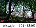 ツバキの森としだれ梅 49148395
