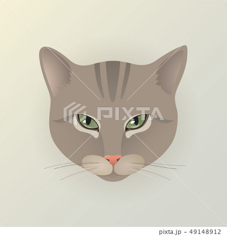 Portrait of a lady cat Portrait of a lady cat 49148912
